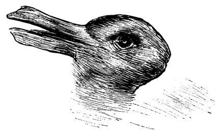 Do you see a duck or a rabbit: what is aspect perception?